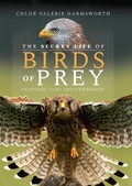 Bild: Secret Life of Birds of Prey - White Owl