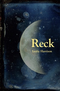 Enlarge image Cover: Reck - University of Akron Press