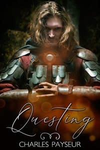 Enlarge image Cover: Questing - JMS Books LLC