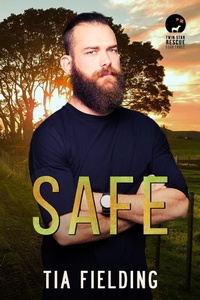 Enlarge image Cover: Safe - JMS Books LLC