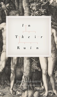 Enlarge image Cover: In Their Ruin - Black Heron Press