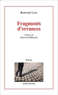 Enlarge image Cover: Fragments d'errances - EDITIONS ACORIA