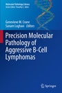 Cover: Precision Molecular Pathology of Aggressive B-Cell Lymphomas - Springer