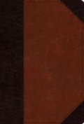 Cover: ESV Men's Study Bible - Crossway Books