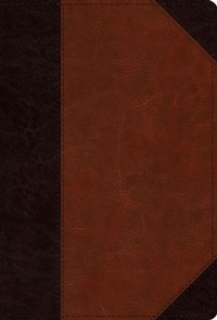Enlarge image Cover: ESV Men's Study Bible - Crossway Books