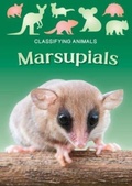 Cover: Marsupials - BookLife Publishing