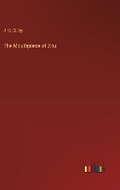 Cover: The Mouthpiece of Zitu - Outlook Verlag