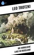 Cover: Die wirkliche Lage in Ru&szlig;land - Sharp Ink