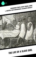 Cover: The Life of a Slave Girl - Sharp Ink