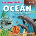 Cover: Ocean Animal Groups - Fusion Books