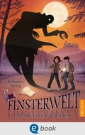 Cover: Finsterwelt 3. Die m&auml;rchenhafte Zeitreise - Dressler