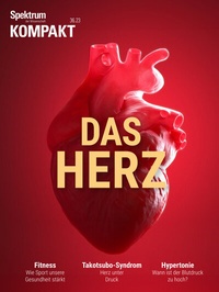 Abbildung von: Spektrum Kompakt - Das Herz - Spektrum der Wissenschaft