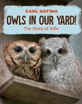 Cover: Owls in Our Yard! - Norton Children's Books