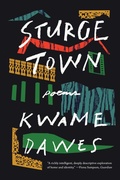 Cover: Sturge Town - W. W. Norton & Company