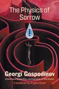 Cover: The Physics of Sorrow - Liveright