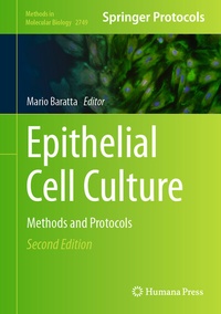 Bild: Epithelial Cell Culture - Humana