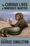 Cover: The Curious Lives of Nonprofit Martyrs - Dzanc Books