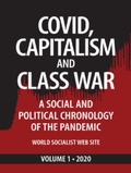Cover: Covid, Capitalism, and Class War, Volume 1 2020: A Social and Political Chronology of the Pandemic (Covid, Capitalism and Class War, #1) - Mehring Books