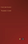 Cover: The amulet - Outlook Verlag