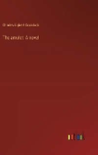 Enlarge image Cover: The amulet - Outlook Verlag