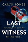 Cover: Last Witness - Head of Zeus -- an Aries Book