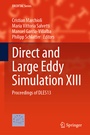 Cover: Direct and Large Eddy Simulation XIII - Springer