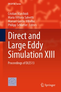 Enlarge image Cover: Direct and Large Eddy Simulation XIII - Springer