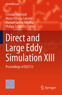 Enlarge image Cover: Direct and Large Eddy Simulation XIII - Springer