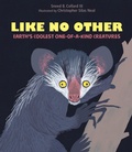 Cover: Like No Other - Astra Publishing House