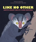 Cover: Like No Other - Astra Publishing House