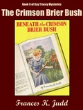 Cover: The Crimson Brier Bush - Alien eBooks