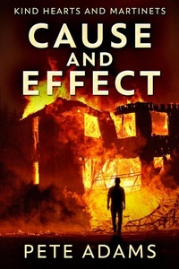 Enlarge image Cover: Cause And Effect - Next Chapter