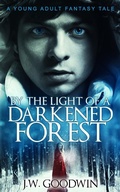 Cover: By The Light of a Darkened Forest - Next Chapter