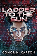 Cover: Ladder To The Sun - Next Chapter