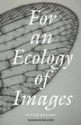 Cover: For an Ecology of Images - Verso Books