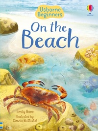 Enlarge image Cover: On the Beach - Usborne Publishing Ltd
