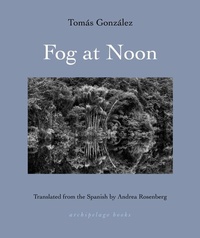 Abbildung von: Fog at Noon - Archipelago Books