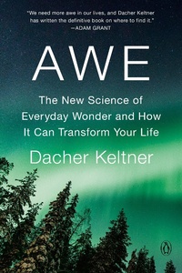 Abbildung von: Awe - Penguin USA