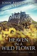 Cover: Heaven In A Wild Flower - Next Chapter