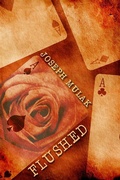 Cover: Flushed - Next Chapter