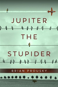 Enlarge image Cover: Jupiter the Stupider - Next Chapter