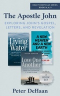 Cover: The Apostle John - Rock Rooster Books