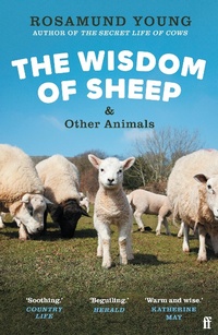 Abbildung von: The Wisdom of Sheep & Other Animals - Faber & Faber