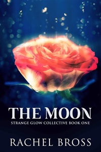 Enlarge image Cover: The Moon - Next Chapter