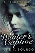 Cover: Winter's Captive - Next Chapter