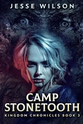 Cover: Camp Stonetooth - Next Chapter