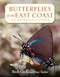 Abbildung von: Butterflies of the East Coast - Princeton University Press