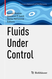 Abbildung von: Fluids Under Control - Birkhäuser