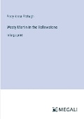 Cover: Westy Martin in the Yellowstone - Megali Verlag
