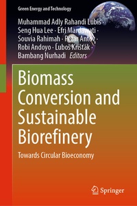 Abbildung von: Biomass Conversion and Sustainable Biorefinery - Springer